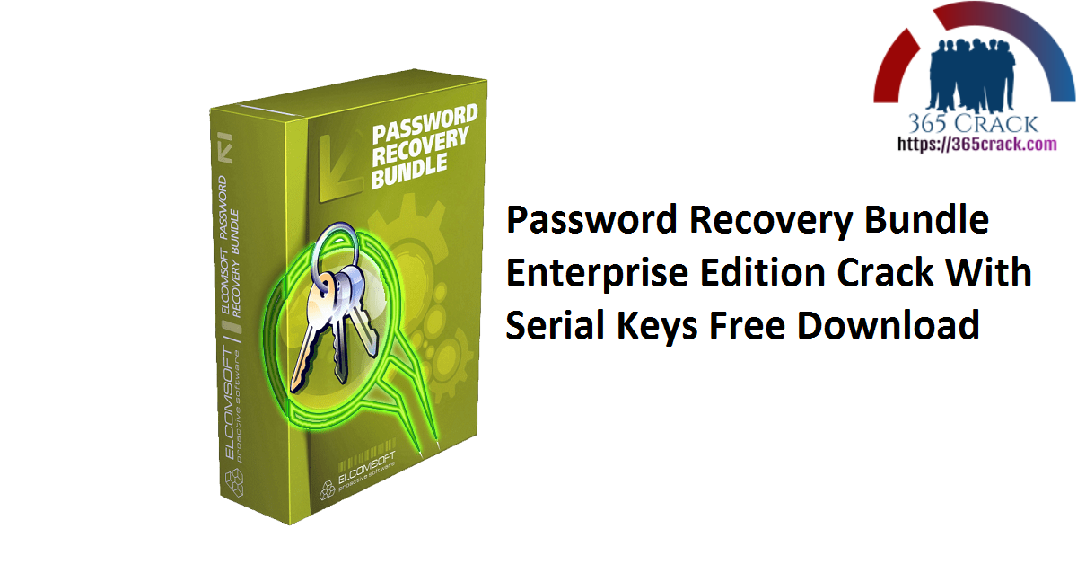 Password Recovery Bundle 2020 Crack