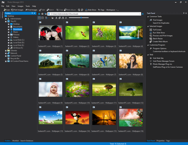 Photo Manager Professional Crack With Serial Key Download
