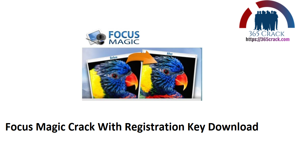 Focus Magic Crack With Registration Key Download