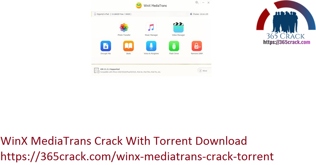 WinX MediaTrans Crack With Torrent Download