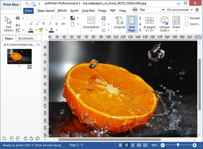 priPrinter Professional 6.9.0.2546 download the last version for apple
