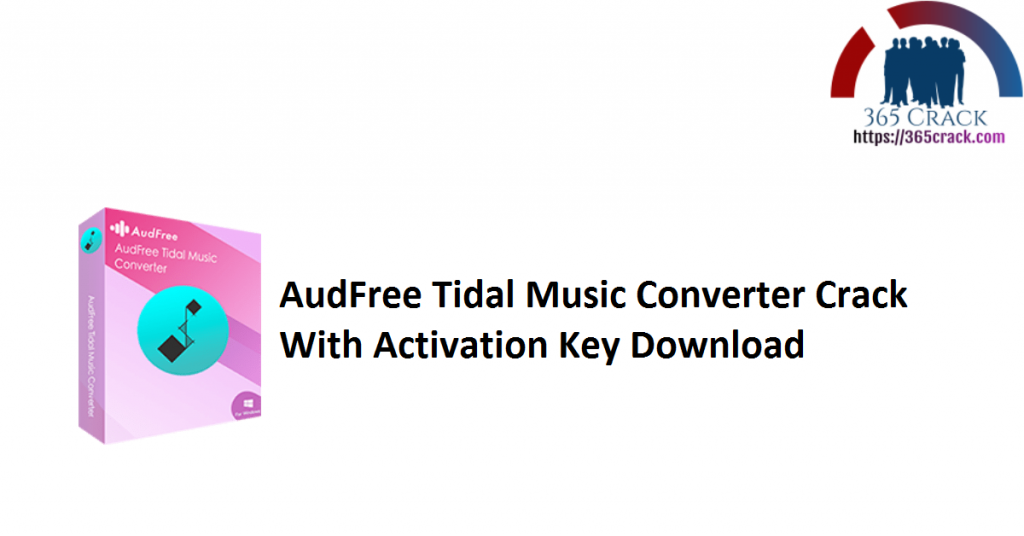 aud tidal music converter