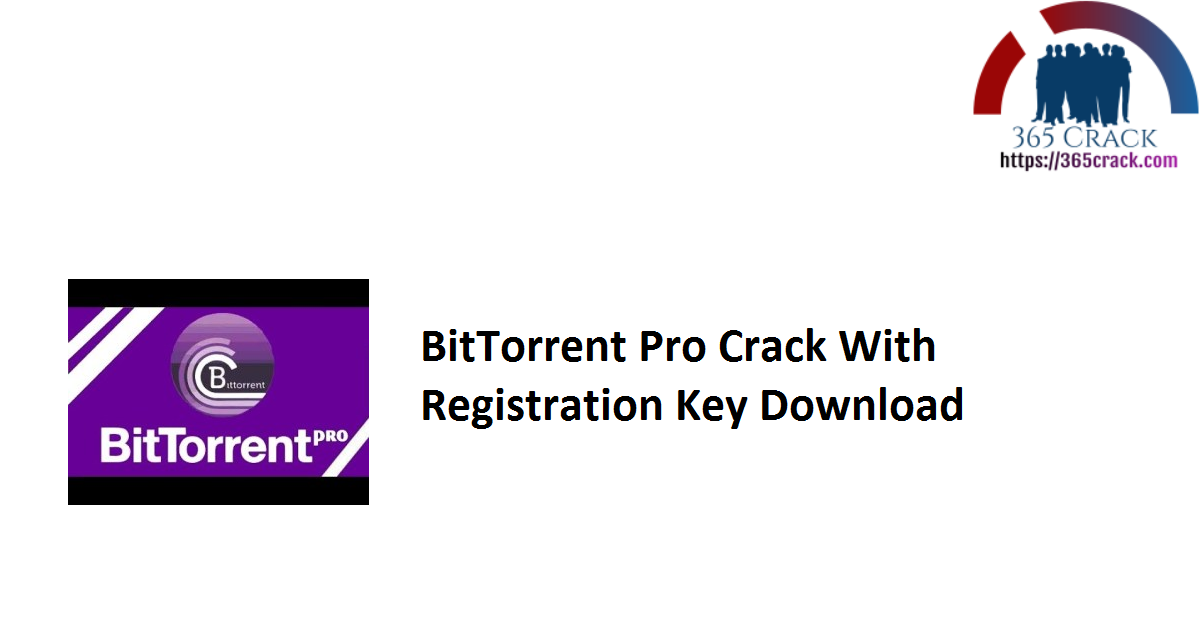 where does the license key for bittorrent pro go