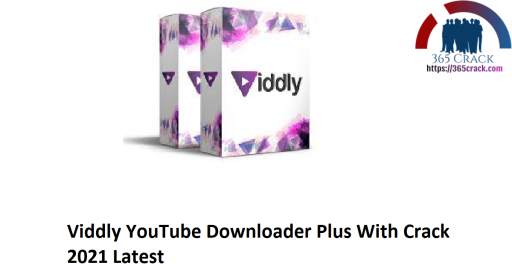 viddly youtube downloader product key