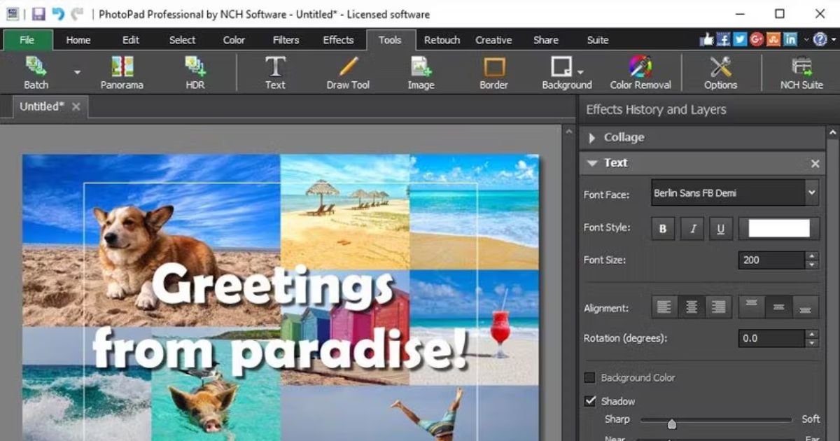 NCH ​​PhotoPad Image Editor Professional Serial key 