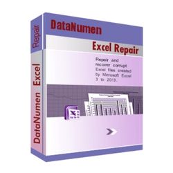 DataNumen Excel Repair License Key