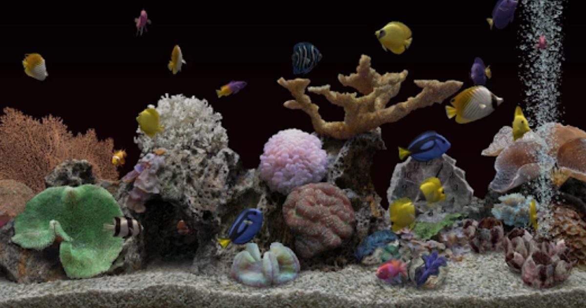 SereneScreen Marine Aquarium Product Key