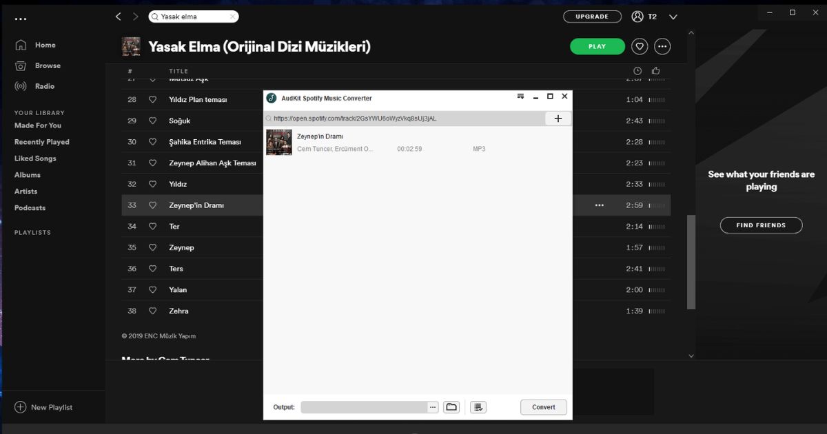 AudKit Spotify Music Converter Serial Key