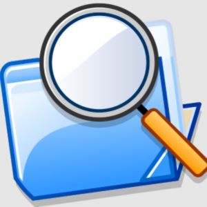 Duplicate File Detective Enterprise Free Download