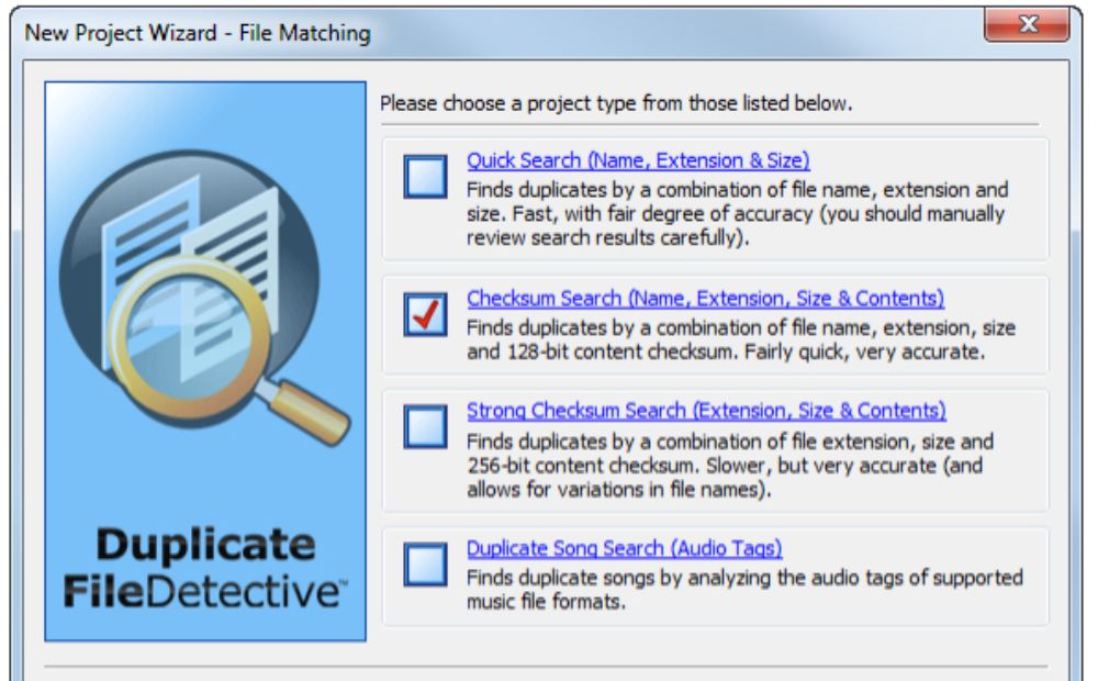 Duplicate File Detective Enterprise Portable Download