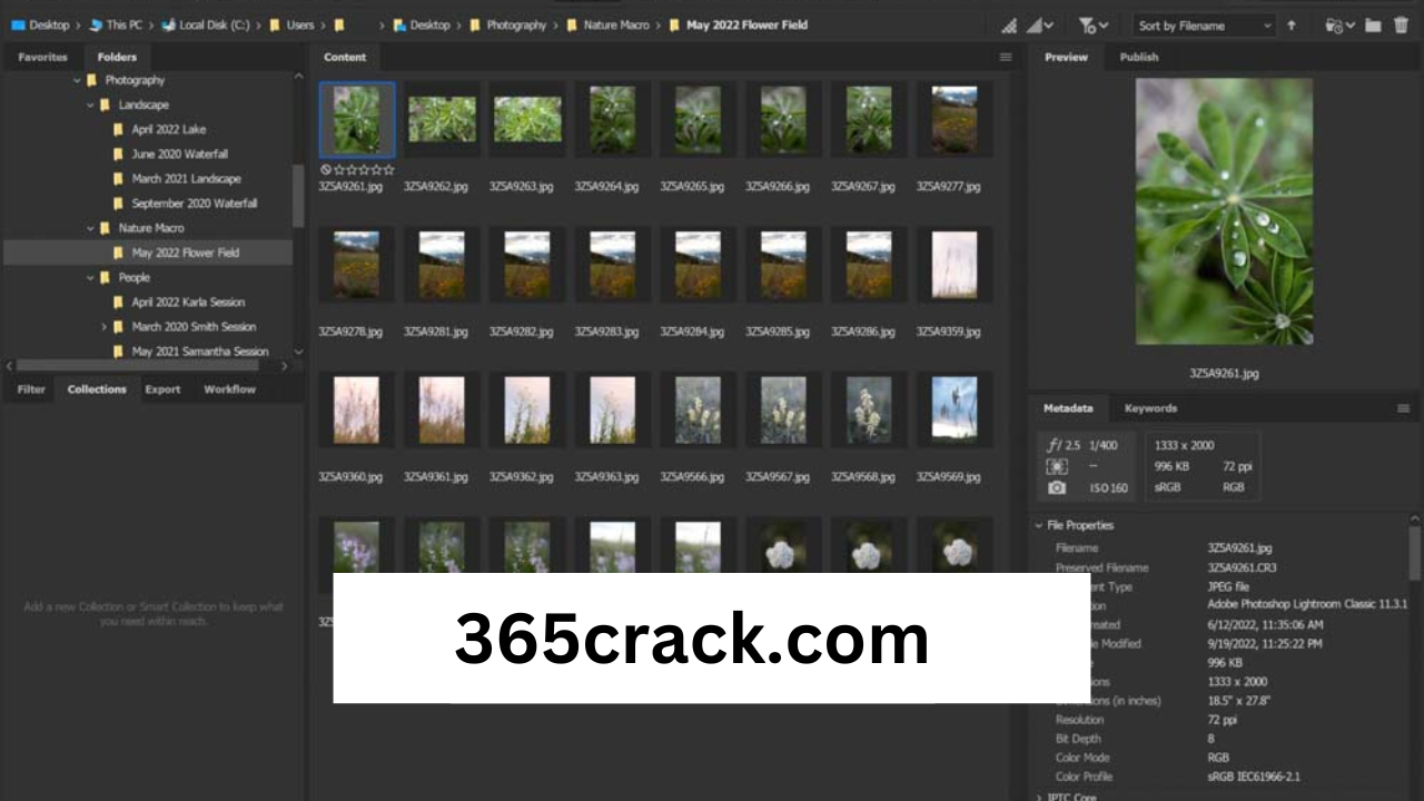 Adobe Bridge Crack Free Downloaded Version Latest