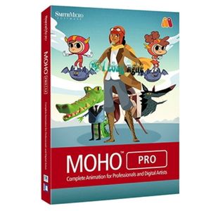 Smith Micro Moho Pro Registration Key