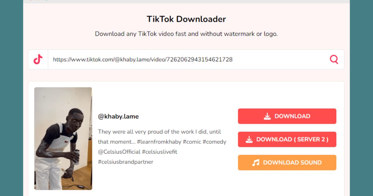 TikTok Downloader Serial Key