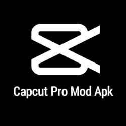 Download CapCut Pro
