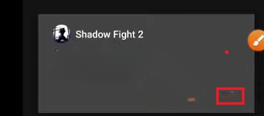  Shadow Fight 2